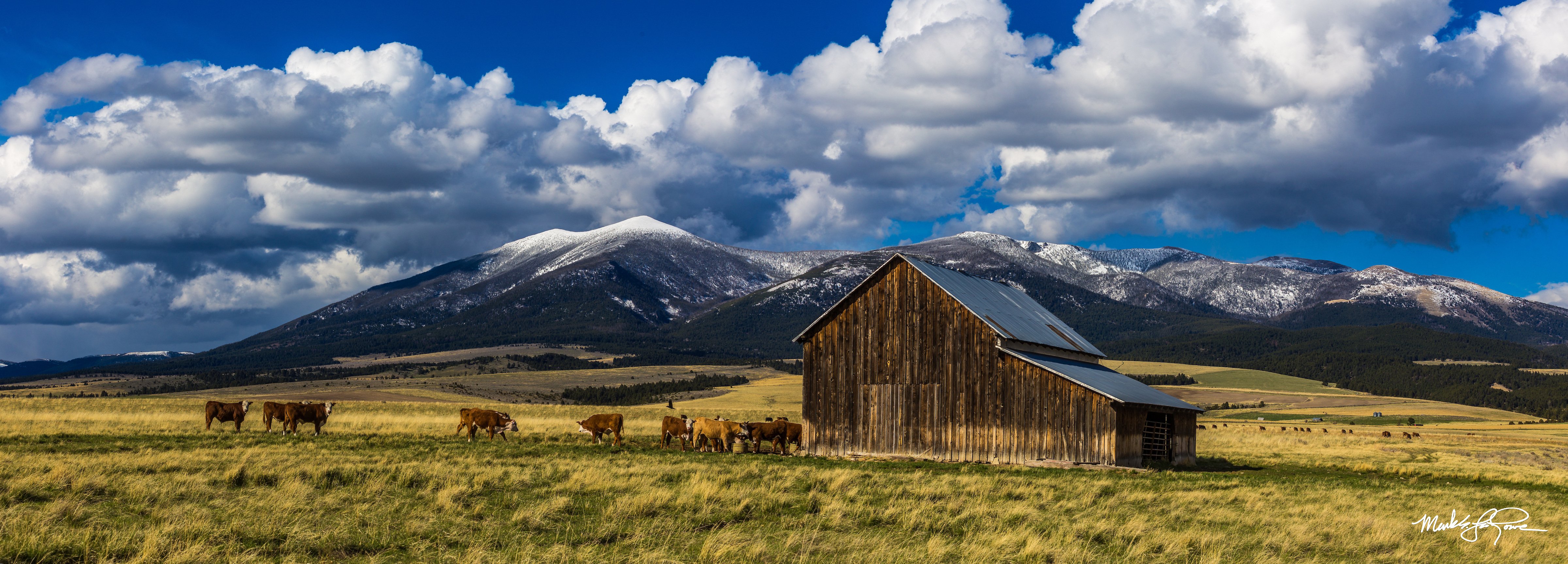 20210511-IMG_1006-Pano (1)